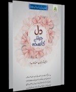 Dil Jeetnay Ka Nuskha